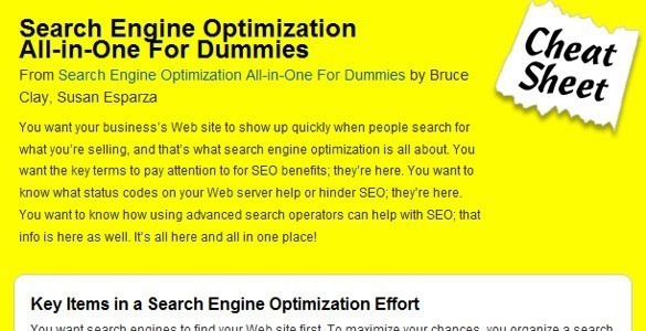 SEO for dummies